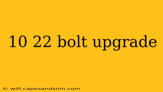 10 22 bolt upgrade