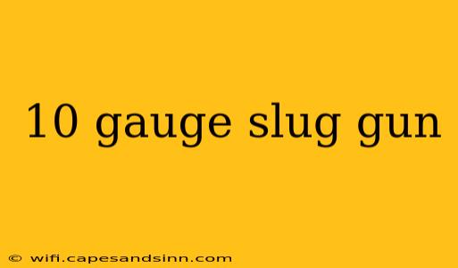 10 gauge slug gun