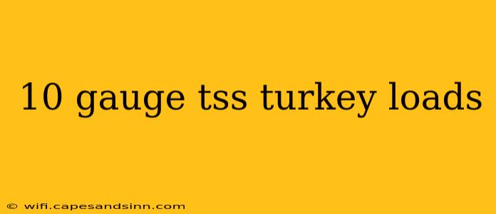 10 gauge tss turkey loads