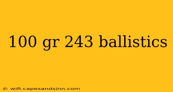 100 gr 243 ballistics