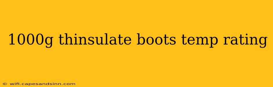 1000g thinsulate boots temp rating