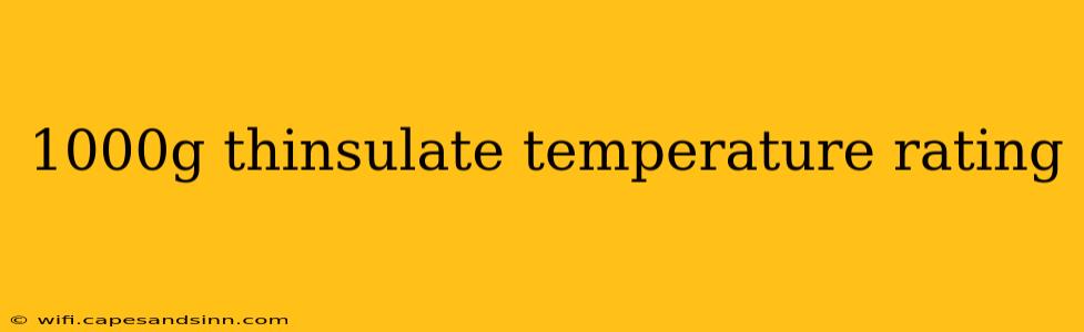 1000g thinsulate temperature rating