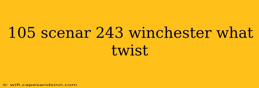 105 scenar 243 winchester what twist