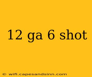 12 ga 6 shot