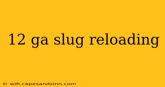 12 ga slug reloading