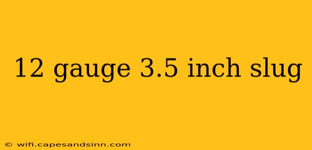 12 gauge 3.5 inch slug