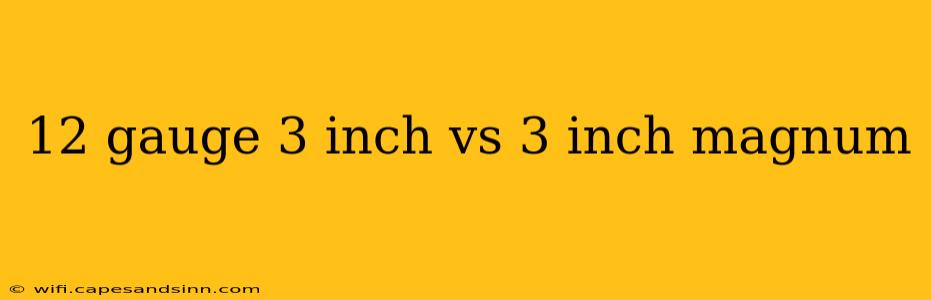 12 gauge 3 inch vs 3 inch magnum