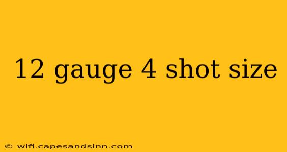 12 gauge 4 shot size