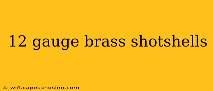 12 gauge brass shotshells