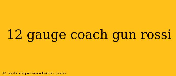 12 gauge coach gun rossi