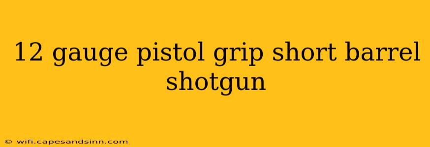 12 gauge pistol grip short barrel shotgun