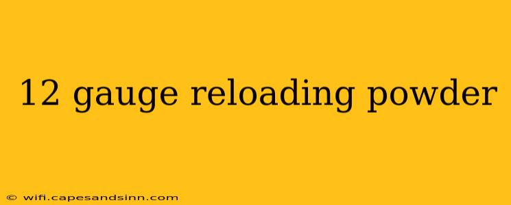 12 gauge reloading powder