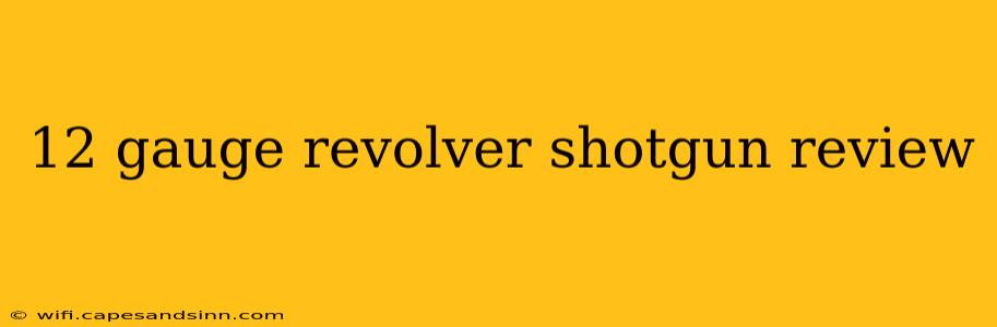 12 gauge revolver shotgun review