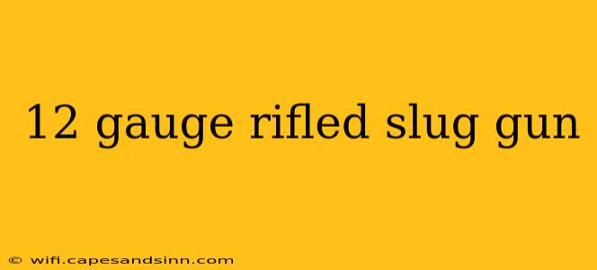 12 gauge rifled slug gun