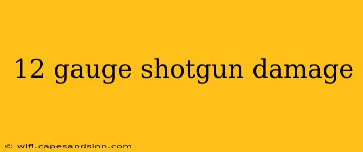 12 gauge shotgun damage