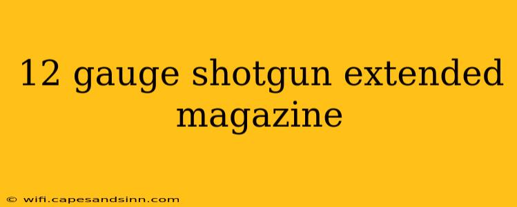 12 gauge shotgun extended magazine