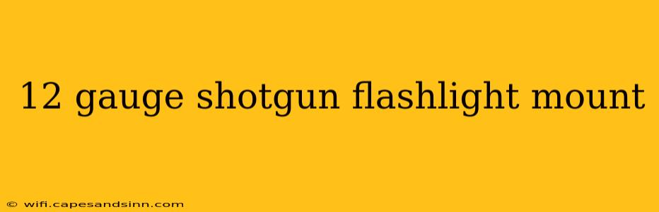 12 gauge shotgun flashlight mount