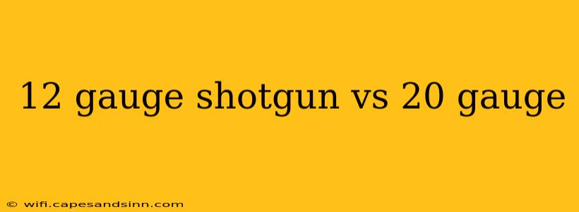 12 gauge shotgun vs 20 gauge