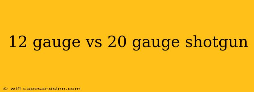 12 gauge vs 20 gauge shotgun