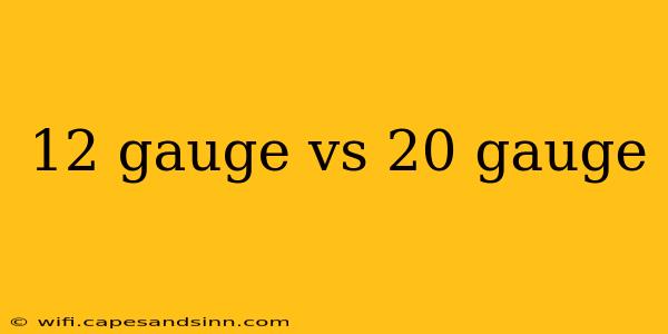 12 gauge vs 20 gauge