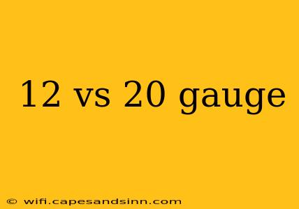 12 vs 20 gauge