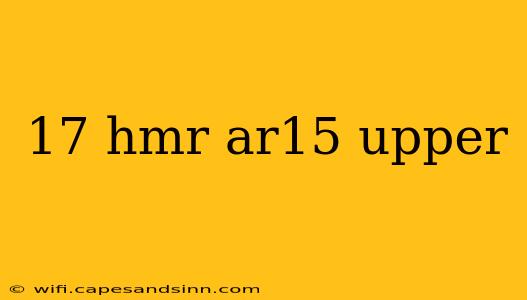 17 hmr ar15 upper