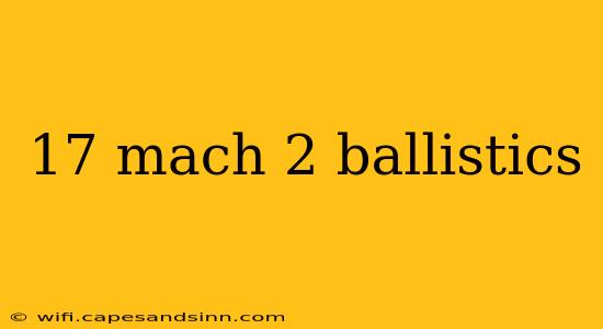 17 mach 2 ballistics