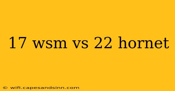 17 wsm vs 22 hornet