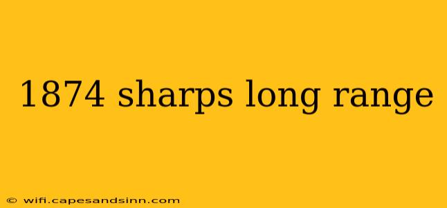 1874 sharps long range