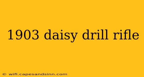 1903 daisy drill rifle