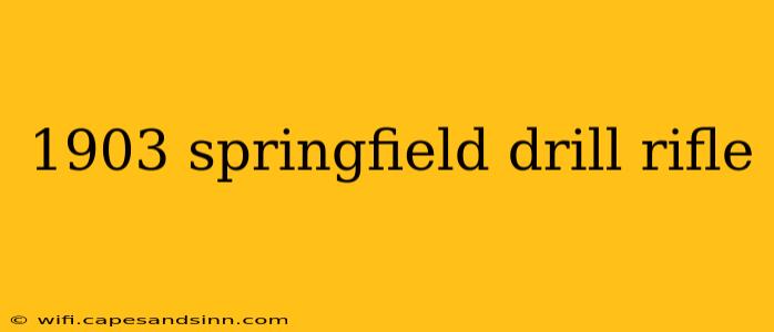 1903 springfield drill rifle