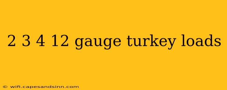 2 3 4 12 gauge turkey loads