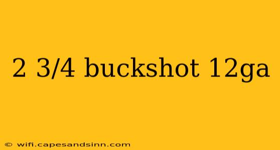 2 3/4 buckshot 12ga