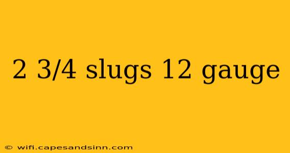 2 3/4 slugs 12 gauge