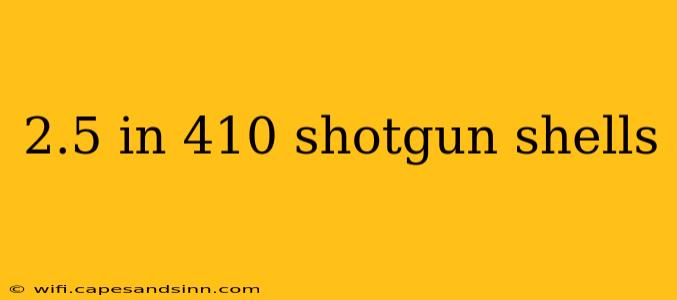 2.5 in 410 shotgun shells