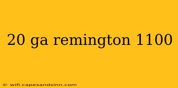 20 ga remington 1100