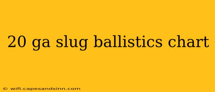 20 ga slug ballistics chart