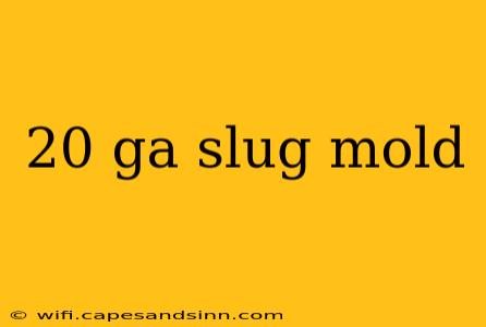 20 ga slug mold