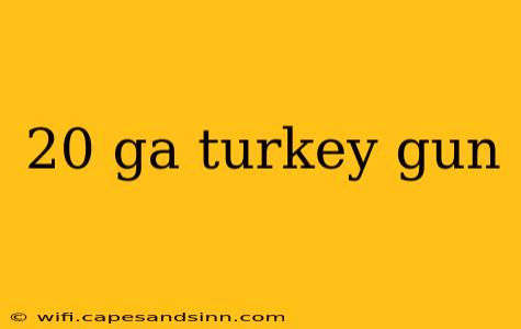 20 ga turkey gun