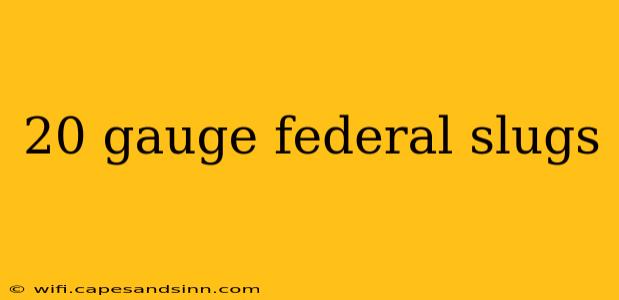 20 gauge federal slugs