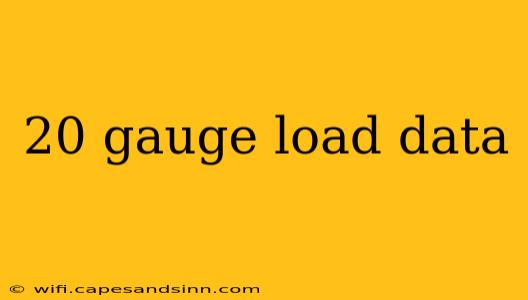 20 gauge load data