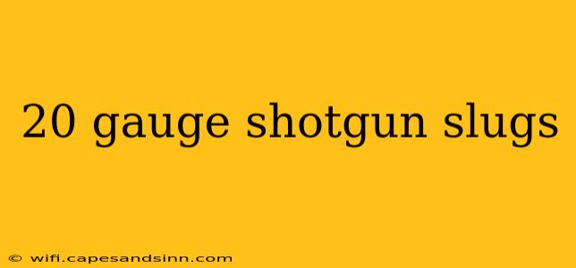 20 gauge shotgun slugs