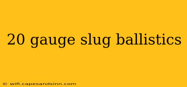 20 gauge slug ballistics