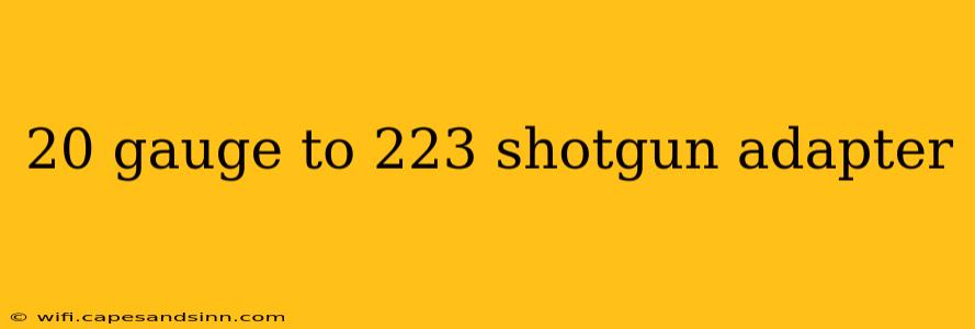 20 gauge to 223 shotgun adapter