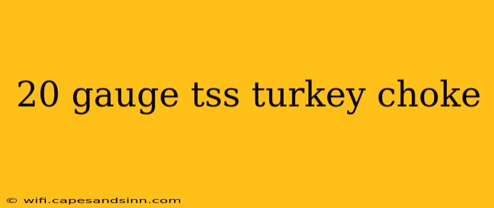 20 gauge tss turkey choke