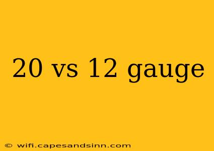 20 vs 12 gauge