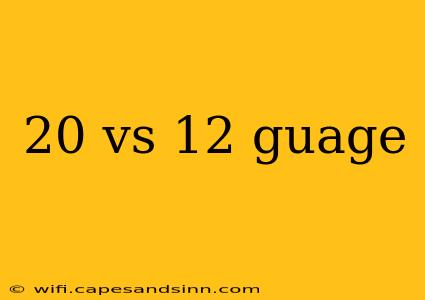 20 vs 12 guage