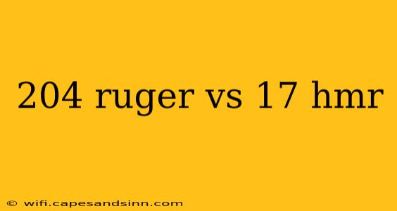 204 ruger vs 17 hmr