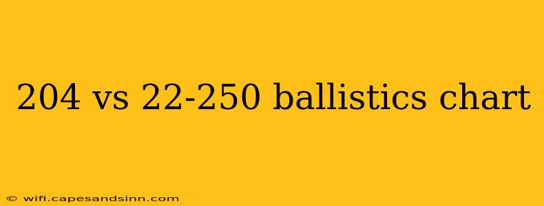 204 vs 22-250 ballistics chart