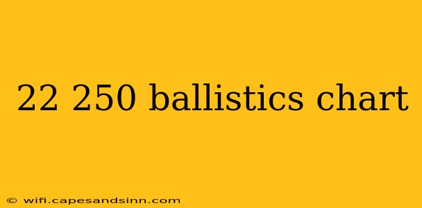 22 250 ballistics chart